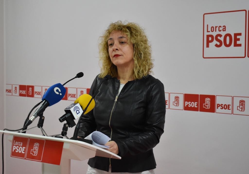 El PSOE denuncia que el PP esconda grabaciones de los Plenos y se niegue a emitirlos en directo