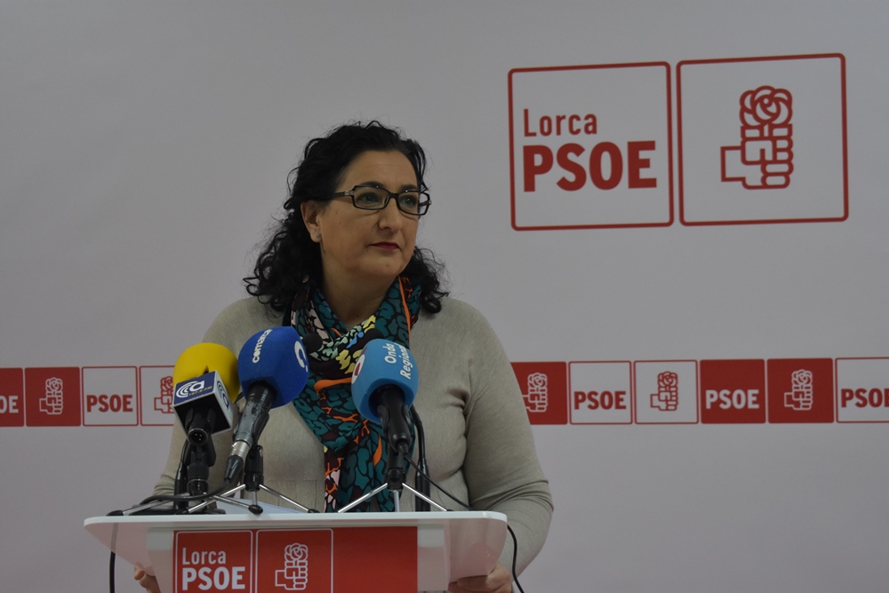 El PSOE presenta una moción para garantizar el sistema público de pensiones y para que los usuarios de las residencias recuperen la paga extra
