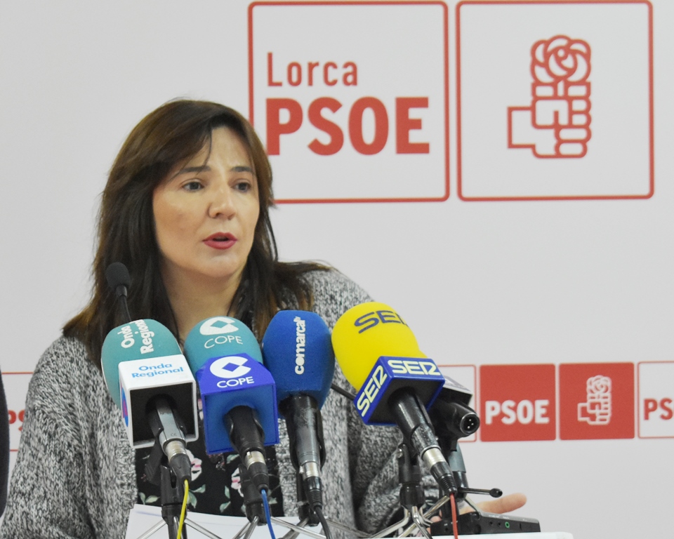 El PSOE exige la puesta en funcionamiento de la unidad de resonancia magnética en Rafael Méndez