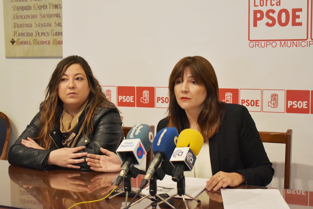 El PSOE pide al Alcalde que se centre en mejorar el tráfico y la seguridad en lugar de estar entretenido en recaudar a base de multas