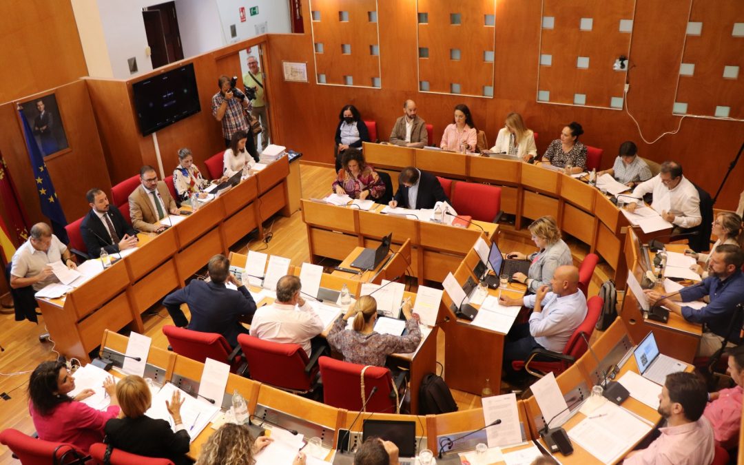 “El pleno del Ayuntamiento de Lorca ha pedido que Feijoó rectifique sus declaraciones sobre la reducción de kilómetros de AVE y aporte certidumbre a esta inversión clave”