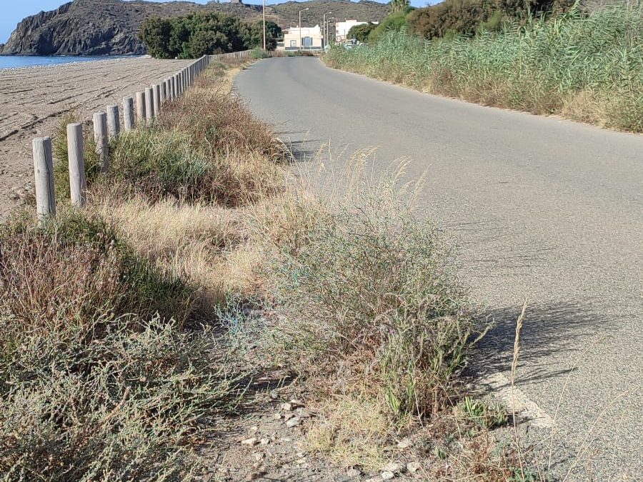 El PSOE denuncia el “lamentable” estado y la falta de limpieza de las zonas de aparcamiento y la carretera de las playas de Calnegre