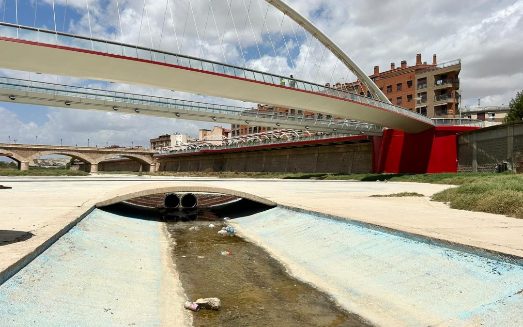 El PSOE pide la limpieza, desbroce y una actuación extraordinaria de fumigación del río Guadalentín, que se ha convertido en un vertedero de residuos