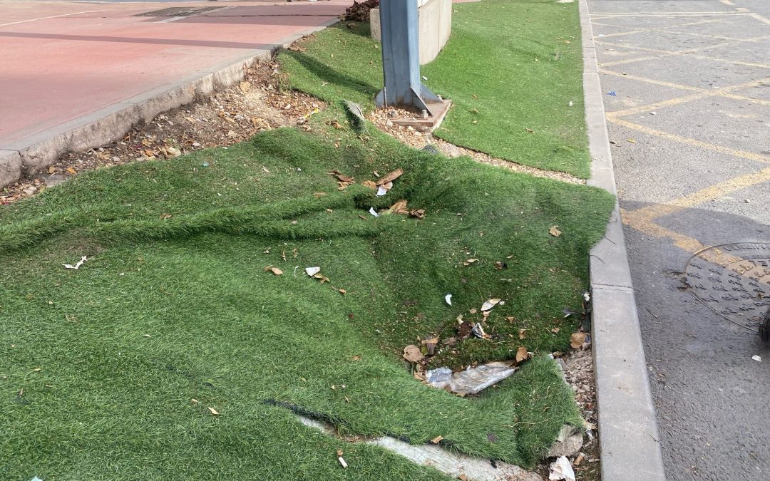 El PSOE exige el arreglo y adecuación de los parterres ubicados en la Avenida Adolfo Suárez en La Viña, de manera urgente