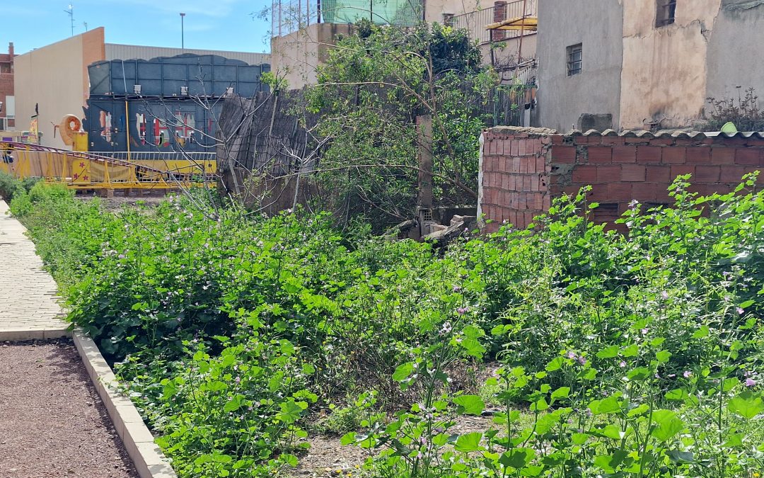 El PSOE denuncia el abandono de un solar en San José y exige una solución antes de la celebración de sus fiestas