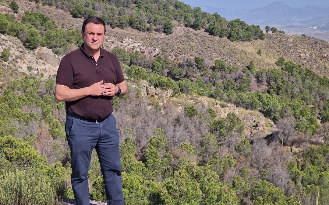 El gobierno regional de López Miras deja fuera del plan de actuaciones de la consejería de Medio Ambiente las sierras y masas forestales de Lorca