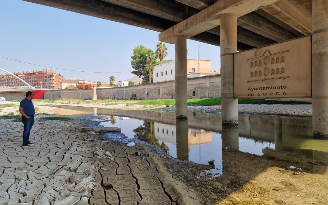 El PSOE denuncia el completo abandono del cauce urbano del río Guadalentín y exige una actuación inmediata a Fulgencio Gil