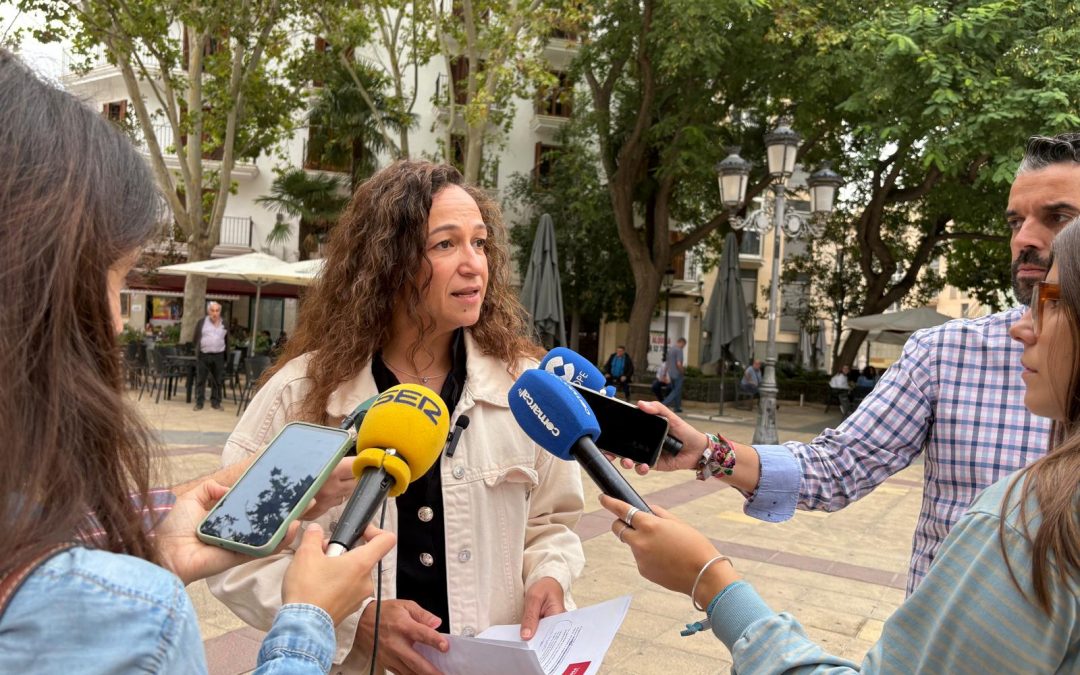 “El caos sanitario por falta de camas en el Rafael Méndez demuestra que Lorca necesita ya un segundo hospital”
