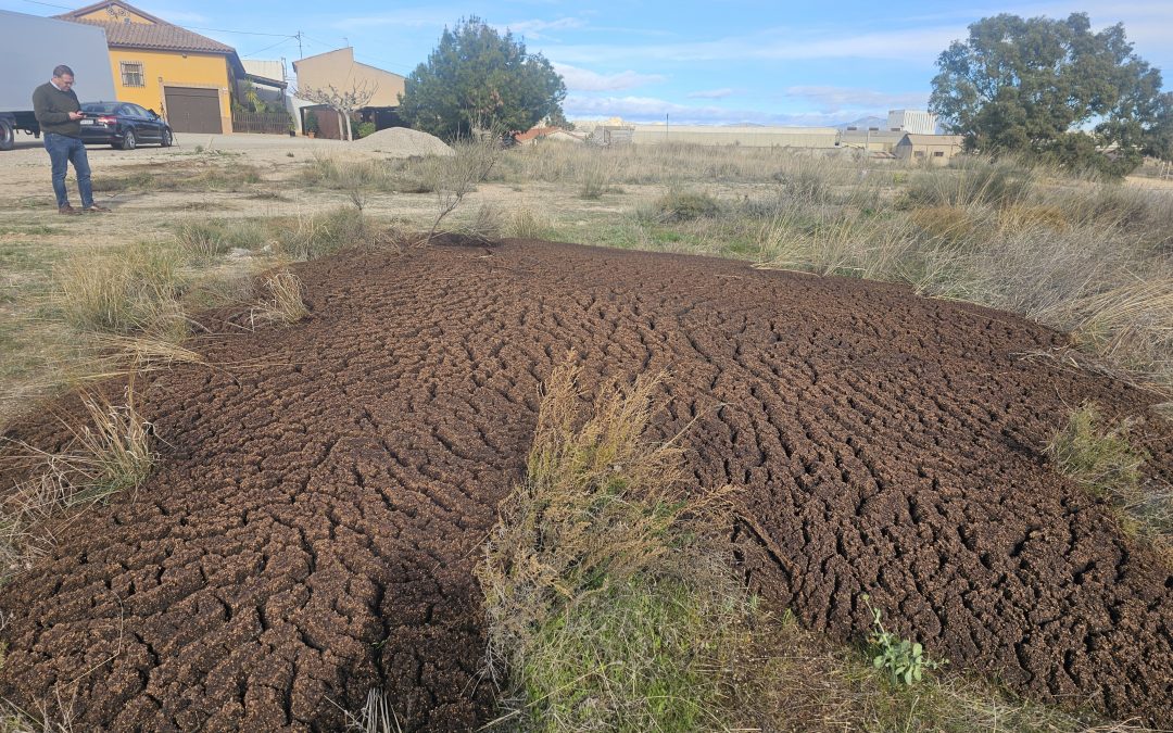 Los vecinos de Diputación de Río denuncian un vertido ilegal de residuos de almazara ante la inacción del Gobierno de PP y VOX