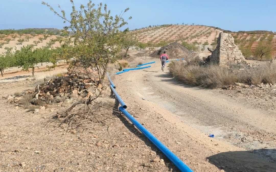 El PSOE DE Lorca señala la «opacidad y falta de respeto» de Fulgencio Gil ante el TSJ de Murcia y pedirá la ejecución forzosa de la sentencia
