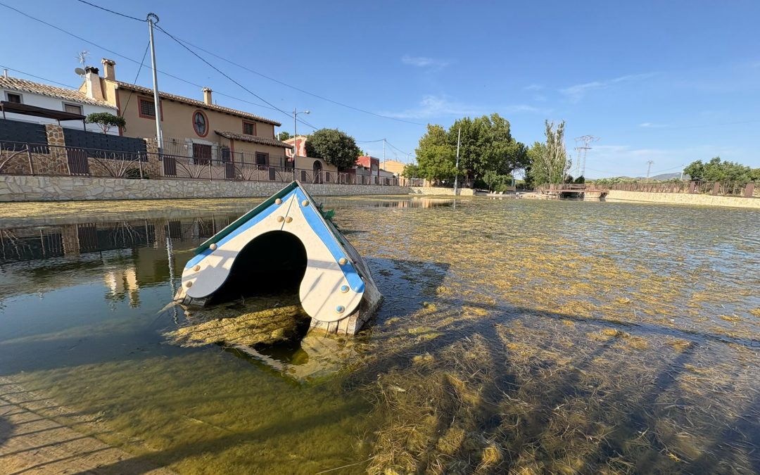 El PSOE de Lorca exige la recuperación inmediata de la pedanía de Doña Inés sometida a un “absoluto abandono y dejadez”